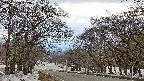takano2-20250409163032.jpg
