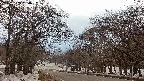takano2-20250409164032.jpg