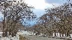 takano2-20250409170032.jpg