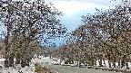 takano2-20250409172033.jpg