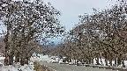 takano2-20250409180031.jpg