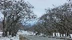 takano2-20250409181031.jpg
