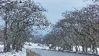 takano2-20250411050031.jpg