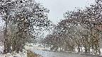 takano2-20250411053031.jpg