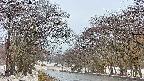 takano2-20250411054029.jpg