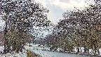 takano2-20250411060029.jpg