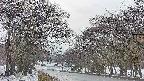 takano2-20250411061030.jpg