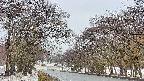 takano2-20250411065031.jpg