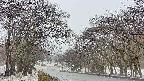 takano2-20250411070029.jpg