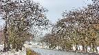 takano2-20250411071031.jpg
