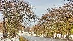 takano2-20250411072031.jpg