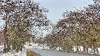 takano2-20250411073029.jpg