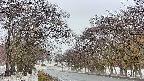 takano2-20250411074031.jpg