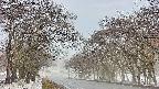 takano2-20250411075030.jpg