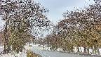 takano2-20250411080031.jpg