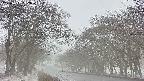 takano2-20250411082031.jpg