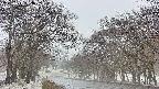takano2-20250411083032.jpg