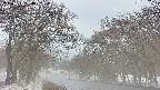 takano2-20250411084031.jpg