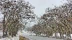 takano2-20250411094031.jpg