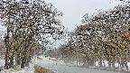 takano2-20250411112031.jpg
