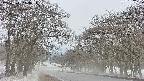 takano2-20250411113033.jpg