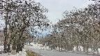 takano2-20250411120031.jpg