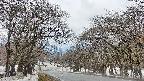 takano2-20250411121032.jpg