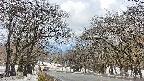 takano2-20250411122032.jpg