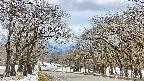 takano2-20250411124031.jpg
