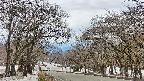 takano2-20250411130031.jpg