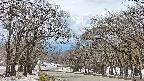 takano2-20250411132031.jpg