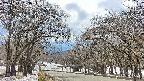 takano2-20250411133032.jpg