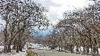 takano2-20250411134033.jpg
