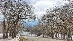 takano2-20250411135032.jpg