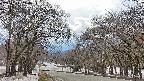 takano2-20250411140032.jpg