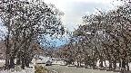 takano2-20250411143030.jpg
