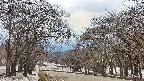 takano2-20250411144031.jpg