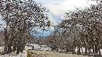 takano2-20250411150031.jpg