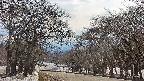 takano2-20250411151031.jpg