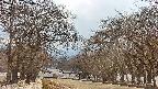 takano2-20250411154031.jpg