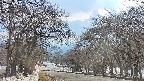 takano2-20250411162030.jpg