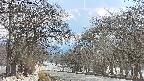takano2-20250411163031.jpg