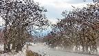 takano2-20250411174033.jpg