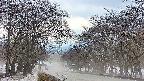 takano2-20250411175030.jpg