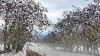 takano2-20250411180030.jpg