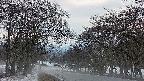 takano2-20250411182030.jpg