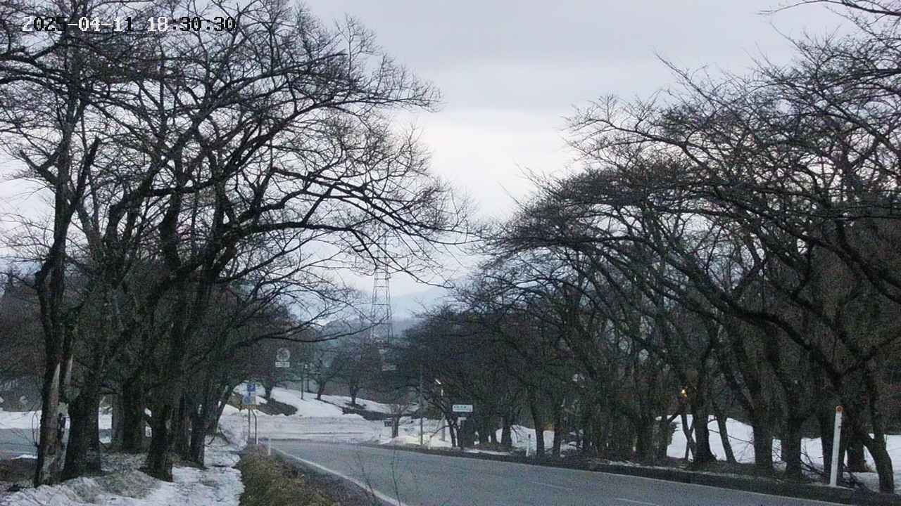 takano2-20250411183031.jpg