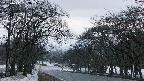takano2-20250411183031.jpg