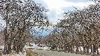 takano2-20250412133032.jpg