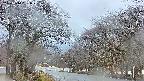 takano2-20250414051030.jpg